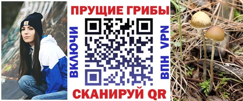 купить наркотик  shop какой сайт  Псилоцибиновые грибы Magic Shrooms  Ялта  kraken ССЫЛКА 